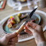 Нож филейный OPINEL №10, нержавеющая сталь, рукоять оливковое дерево