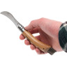 Нож грибника OPINEL №8, нержавеющая сталь, рукоять дуб, чехол, деревянный футляр 001327