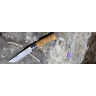 Нож OPINEL №8 ANIMALIA, нержавеющая сталь, рукоять дуб, гравировка серна 001621