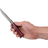 Нож OPINEL №8 TREKKING, нержавеющая сталь, бордовый 002213