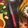 Нож столовый OPINEL №112 003115