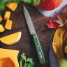 Нож столовый OPINEL №112 003118