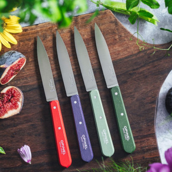 Набор ножей Opinel №112, нержавеющая сталь, цвета пейзажа
