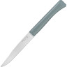 Нож столовый OPINEL N°125, полимерная ручка, нерж, сталь, шалфей. 002195
